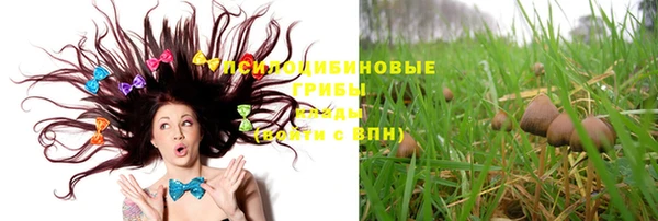 дмт Балахна