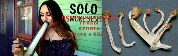 сатива Сосновый Бор